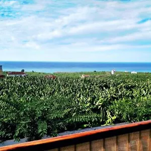 https://apartamento-el-tazacorte.in-canary-islands.com